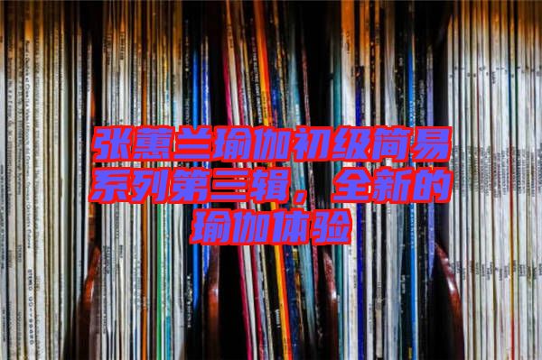 張蕙蘭瑜伽初級(jí)簡(jiǎn)易系列第三輯，全新的瑜伽體驗(yàn)