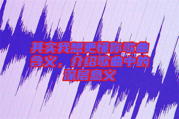 其實(shí)我想更懂你歌曲含義，介紹歌曲中的深層意義