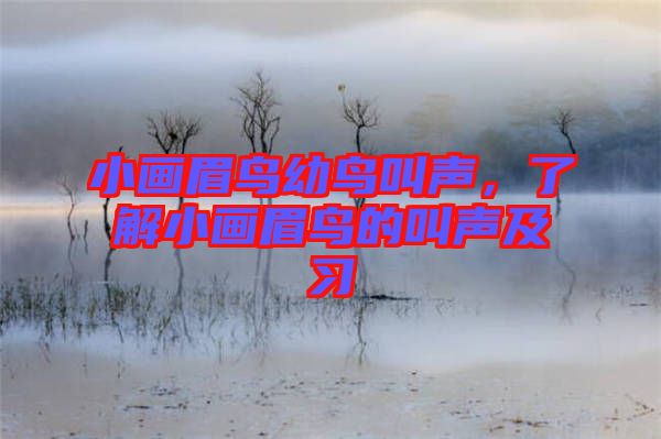 小畫眉鳥(niǎo)幼鳥(niǎo)叫聲，了解小畫眉鳥(niǎo)的叫聲及習(xí)