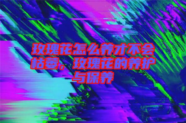 玫瑰花怎么養(yǎng)才不會枯萎，玫瑰花的養(yǎng)護與保養(yǎng)