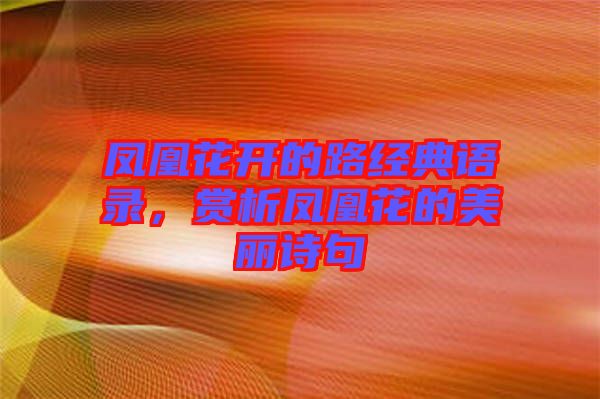 鳳凰花開(kāi)的路經(jīng)典語(yǔ)錄，賞析鳳凰花的美麗詩(shī)句