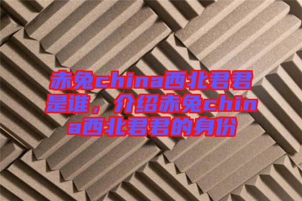 赤兔china西北君君是誰(shuí)，介紹赤兔china西北君君的身份