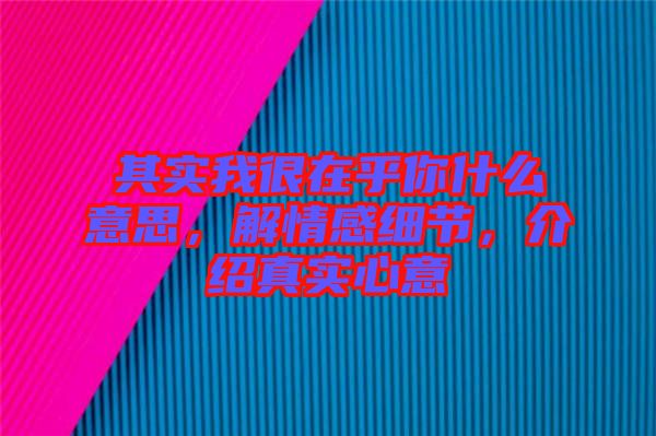其實我很在乎你什么意思，解情感細(xì)節(jié)，介紹真實心意