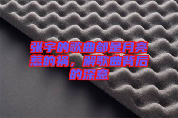 張宇的歌曲都是月亮惹的禍，解歌曲背后的深意