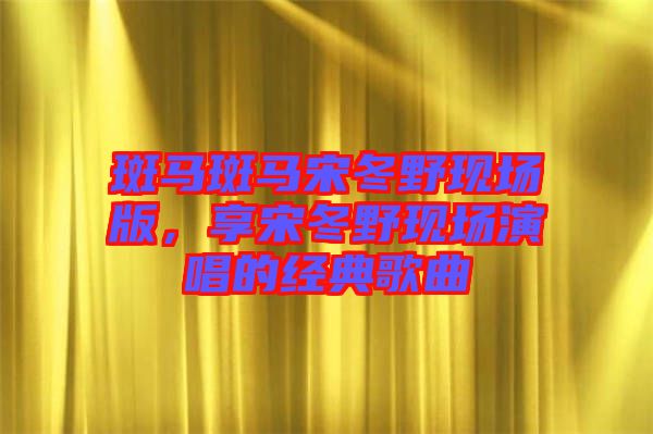 斑馬斑馬宋冬野現(xiàn)場版，享宋冬野現(xiàn)場演唱的經(jīng)典歌曲