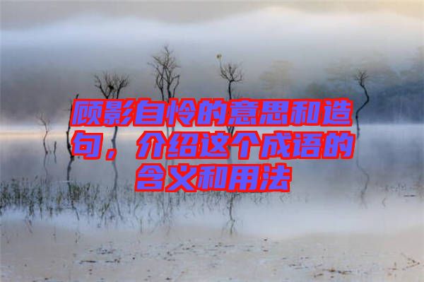 顧影自憐的意思和造句，介紹這個成語的含義和用法