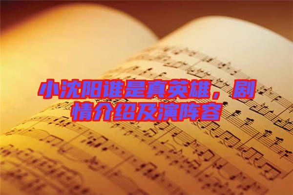 小沈陽誰是真英雄，劇情介紹及演陣容