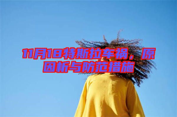 11月18特斯拉車禍，原因析與防范措施