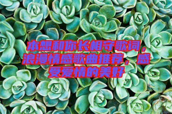本想和你長相守歌詞，浪漫情感歌曲推薦，感受愛情的美好