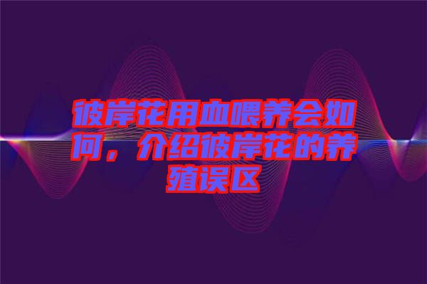 彼岸花用血喂養(yǎng)會如何，介紹彼岸花的養(yǎng)殖誤區(qū)
