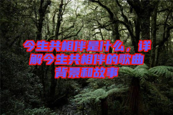 今生共相伴是什么，詳解今生共相伴的歌曲背景和故事
