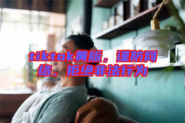 tiktok黃版，謹(jǐn)防網(wǎng)絡(luò)，拒絕非法行為