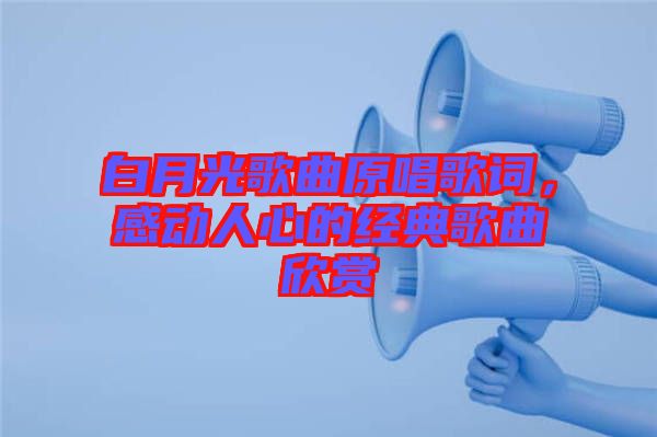 白月光歌曲原唱歌詞，感動人心的經(jīng)典歌曲欣賞