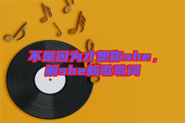 不是因為才想你she，解she新歌歌詞