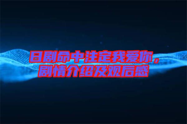 日劇命中注定我愛你，劇情介紹及觀后感