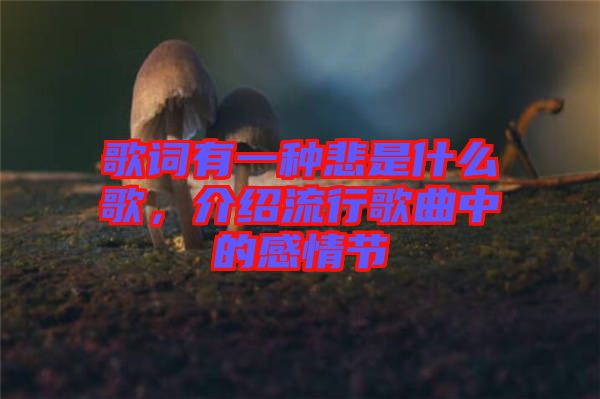歌詞有一種悲是什么歌，介紹流行歌曲中的感情節(jié)