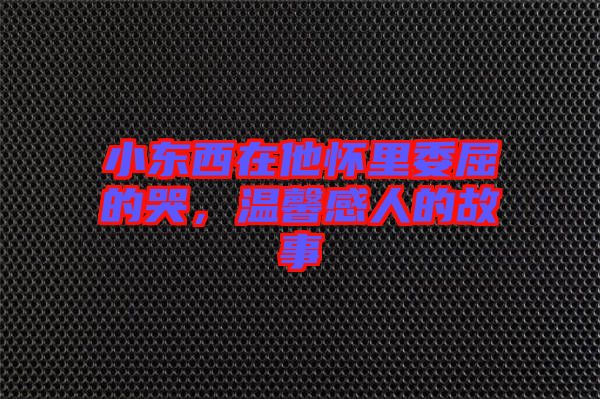 小東西在他懷里委屈的哭，溫馨感人的故事