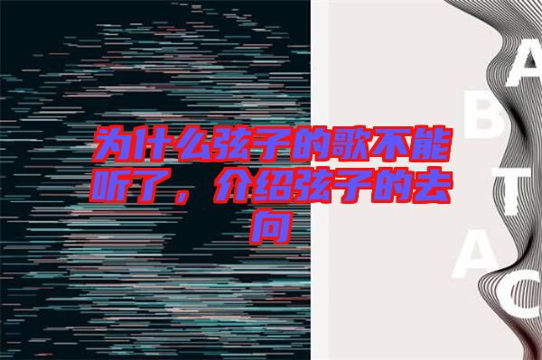 為什么弦子的歌不能聽了，介紹弦子的去向