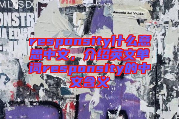 responsity什么意思中文，介紹英文單詞responsity的中文含義