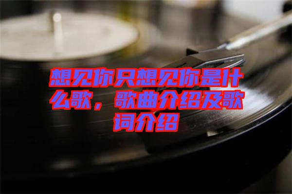 想見你只想見你是什么歌，歌曲介紹及歌詞介紹
