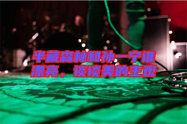 半藏森林和孫一寧誰(shuí)漂亮，談?wù)劽赖闹饔^