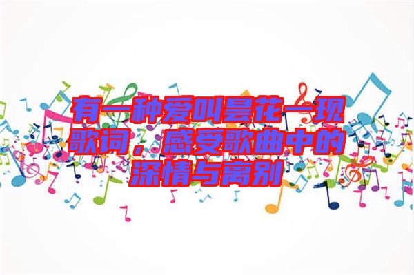 有一種愛(ài)叫曇花一現(xiàn)歌詞，感受歌曲中的深情與離別