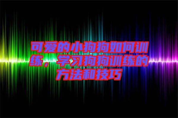可愛的小狗狗如何訓(xùn)練，學(xué)習(xí)狗狗訓(xùn)練的方法和技巧