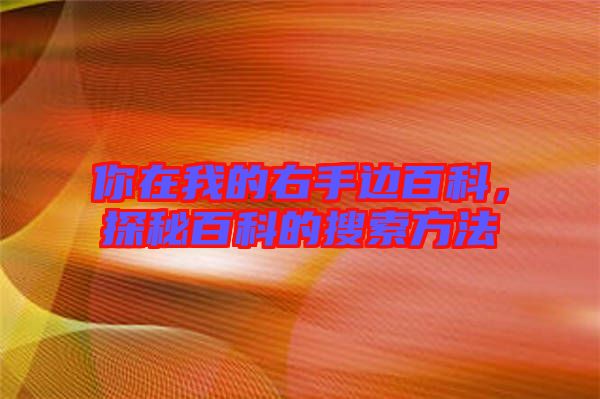 你在我的右手邊百科，探秘百科的搜索方法