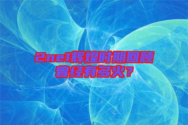 2ne1輝煌時(shí)期回顧曾經(jīng)有多火？