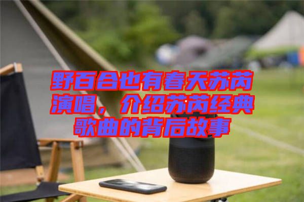 野百合也有春天蘇芮演唱，介紹蘇芮經(jīng)典歌曲的背后故事