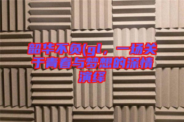 韶華不負(fù)(gl，一場關(guān)于青春與夢想的深情演繹