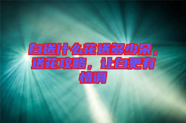 白送什么花送多少朵，送花攻略，讓白更有情調(diào)