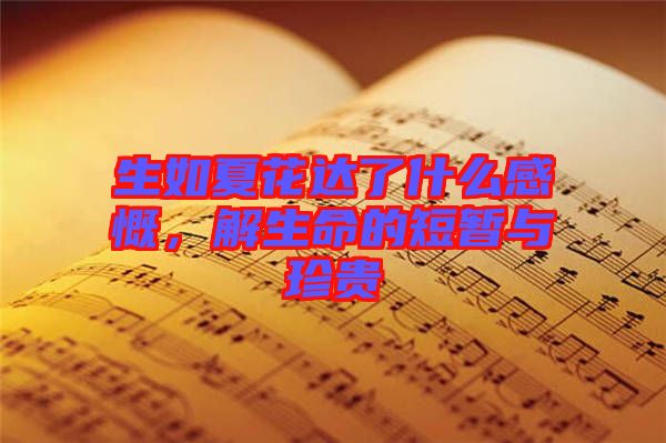 生如夏花達(dá)了什么感慨，解生命的短暫與珍貴