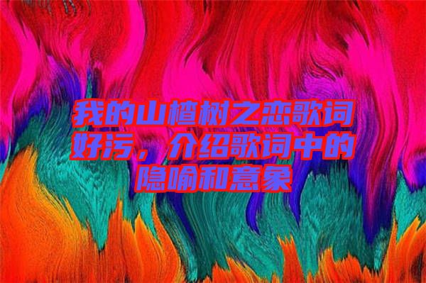 我的山楂樹(shù)之戀歌詞好污，介紹歌詞中的隱喻和意象