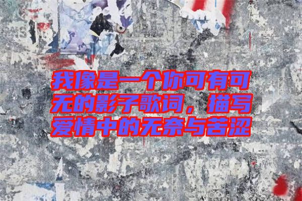 我像是一個(gè)你可有可無(wú)的影子歌詞，描寫(xiě)愛(ài)情中的無(wú)奈與苦澀