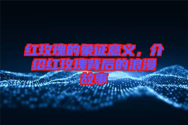 紅玫瑰的象征意義，介紹紅玫瑰背后的浪漫故事
