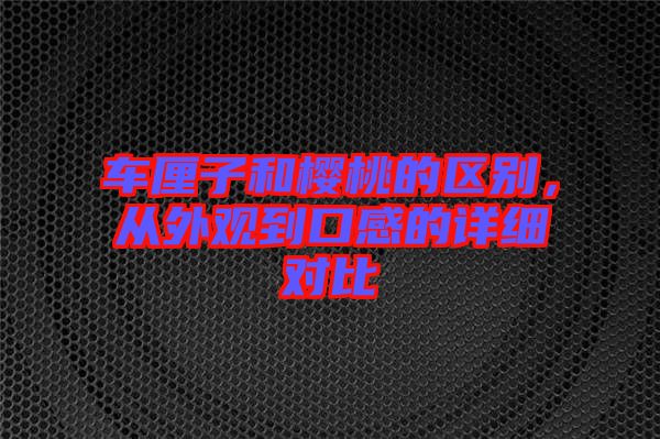 車?yán)遄雍蜋烟业膮^(qū)別，從外觀到口感的詳細(xì)對(duì)比