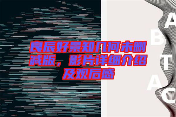 良辰好景知幾何未刪減版，影片詳細(xì)介紹及觀后感