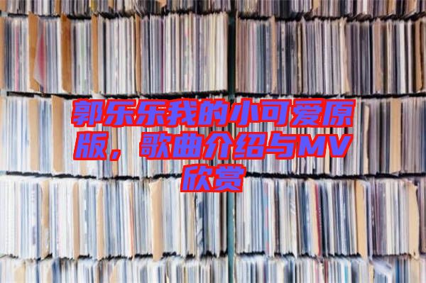 郭樂樂我的小可愛原版，歌曲介紹與MV欣賞
