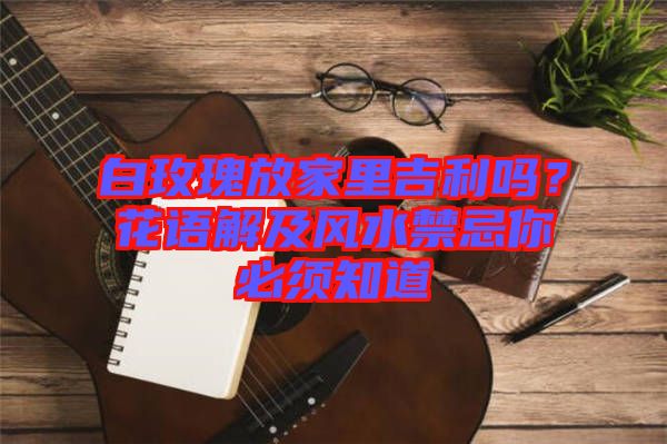 白玫瑰放家里吉利嗎？花語解及風水禁忌你必須知道