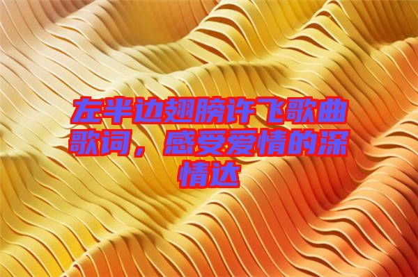 左半邊翅膀許飛歌曲歌詞，感受愛情的深情達