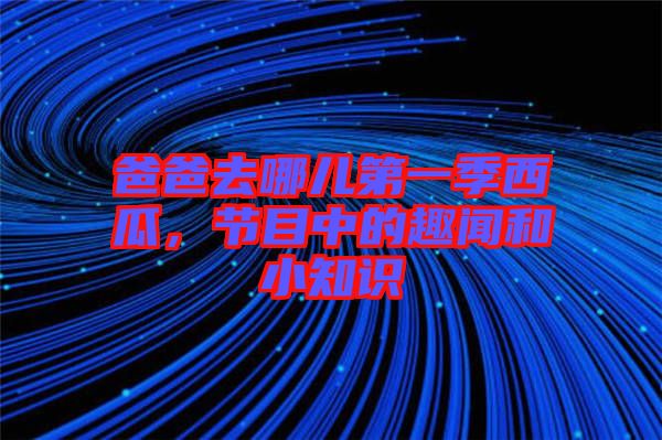 爸爸去哪兒第一季西瓜，節(jié)目中的趣聞和小知識