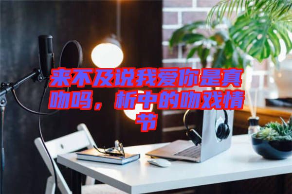 來不及說我愛你是真吻嗎，析中的吻戲情節(jié)
