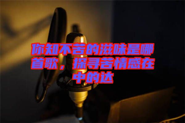 你知不苦的滋味是哪首歌，探尋苦情感在中的達