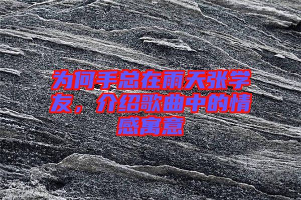 為何手總在雨天張學(xué)友，介紹歌曲中的情感寓意