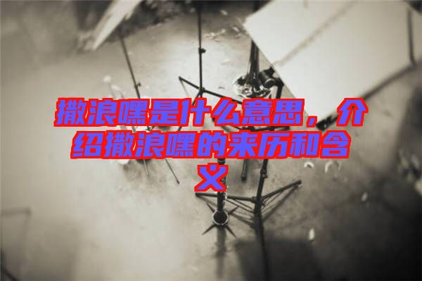 撒浪嘿是什么意思，介紹撒浪嘿的來歷和含義