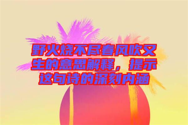 野火燒不盡春風吹又生的意思解釋，提示這句詩的深刻內(nèi)涵