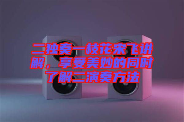 二獨奏一枝花宋飛講解，享受美妙的同時了解二演奏方法