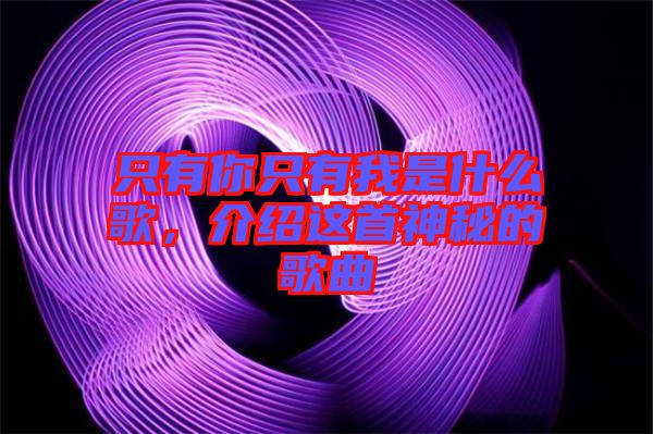 只有你只有我是什么歌，介紹這首神秘的歌曲