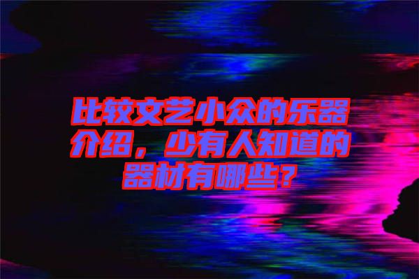 比較文藝小眾的樂器介紹，少有人知道的器材有哪些？